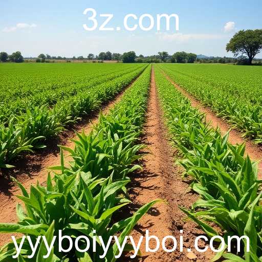 Reportagens da Mídia